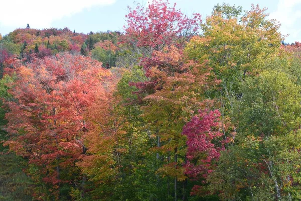 ケベック州の秋 ローレンタイド地域 — ストック写真