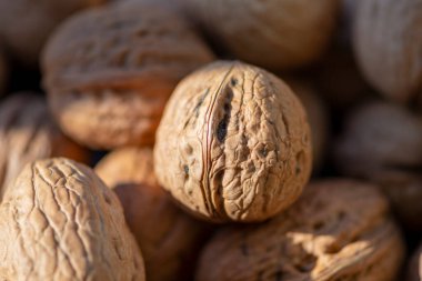 Bir sürü ceviz, seçici odaklanma, yakın plan. Konsept: protein ve vitamin kaynağı, pazarda fındık satışı, arka plan ve dokular.