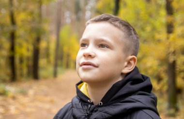 Sonbahar sarısı bir ormanın arka planında ceketli gülümseyen 10 yaşındaki bir çocuğun portresi. Konsept: sonbahar tatili, yakında okula gitmek, ormanda yürümek, gezmek ve doğadaki çocukları eğlendirmek..