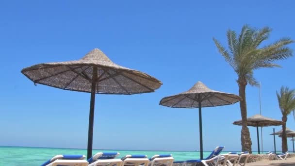 Woven Umbrellas Sun Palm Trees Beach Backdrop Seascape Coastline Beach — Stock Video