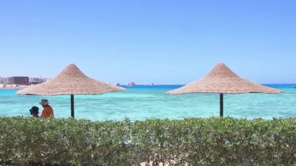 Woven Umbrellas Sun Beach Backdrop Seascape Coastline Beach — Stock Video