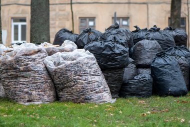 Şehir merkezindeki çimlerin üzerinde siyah çöp torbaları var..