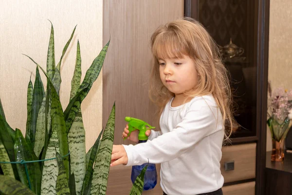 Ein Mädchen Sprüht Blumen Aus Einer Sprühflasche Die Auf Regalen — Stockfoto