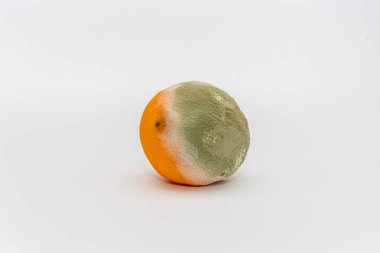 Beyaz arka planda küflü turuncu, yeşil küf dokusu, seçici odaklanma. Taze ve çürük meyve değil..