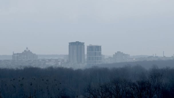 Parkhäuser Stehen Mitten Wald Nebel Kriecht Über Den Wald — Stockvideo