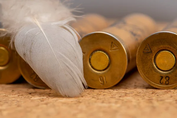 Old hunting cartridges are scattered on a textured background, there is a bird\'s feather, close-up, selective focus. Concept: bird hunting, hunting ammunition, men\'s hobby.