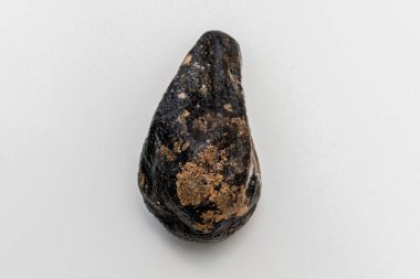 Küflü ve kuru avokado, arka planda. Tehlikeli ve zehirli mantar ve küf yılanları olan çürük meyveler. Avokado bozulmuş ve eski, gıda zehirlenmesi ürünleri..