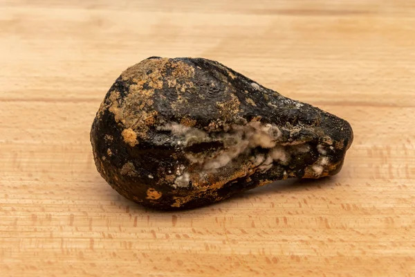 Küflü ve kurutulmuş avokado. Tehlikeli ve zehirli mantar ve küf sporlarıyla çürük meyve. Avokado bozulmuş ve eski..