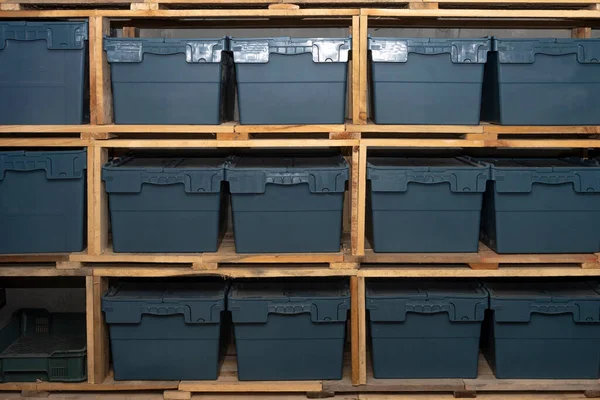 Plastic Boxes Arranged Row Wooden Racks Made Pallets — Foto de Stock