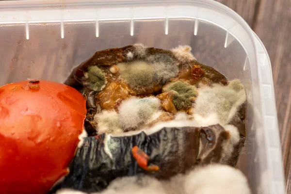 Fried vegetables rotted into a plastic food container. Concept: Decomposition products, food poisoning.
