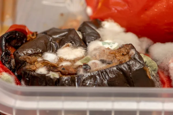 Fried vegetables rotted into a plastic food container. Concept: Decomposition products, food poisoning.