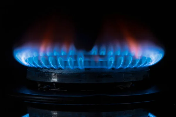 The gas burner burns with a blue flame on a dark background, selective focus. Concept: gas heating, increase in gas prices and electric carriers.