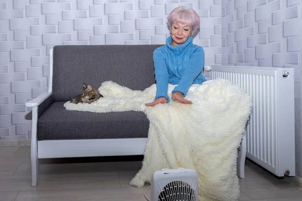 An elderly woman 60-65 years old warms her hands from the heater, sitting on the couch with her kitten, covered with a warm plaid by the heating radiator. The concept: the heating is turned off.