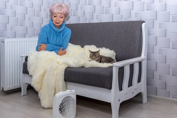 An elderly woman 60-65 years old in a sweater sits on the couch with a kitten, covered with a warm plaid by the heating radiator. The concept: turning off the heating, a cold snap in the apartment.