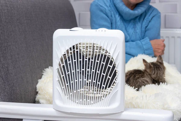 A heating fan heats a woman sitting on a bed with a cat, the woman is covered with a plaid. Concept: a cold snap in the apartment, heating shutdown, rising gas prices.
