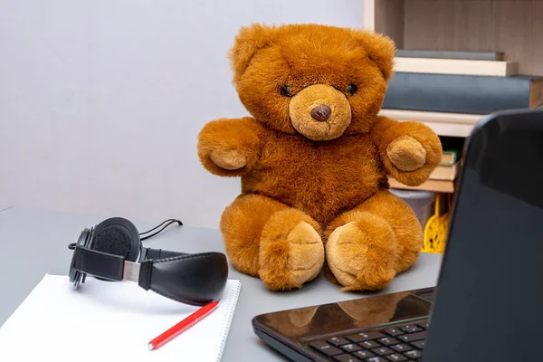 A teddy bear sits on the table, next to the laptop and headphones, a stack of sheets of paper in the background of shelves of books. The concept: remote work, communication via the Internet.