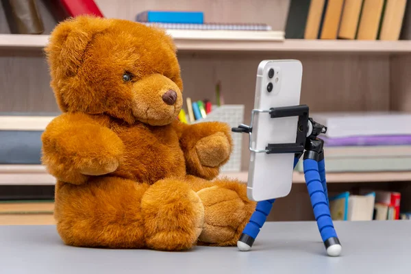 Toy teddy bear, sitting in front of a smartphone on a neutral background in the room. Concept: Internet communication, remote press conference.