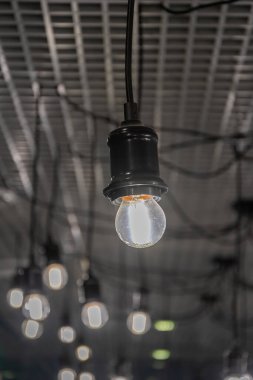 Elektrik tasarruflu ampuller prizlere vidalanmış, tavandan sarkan, seçici odaklanma.