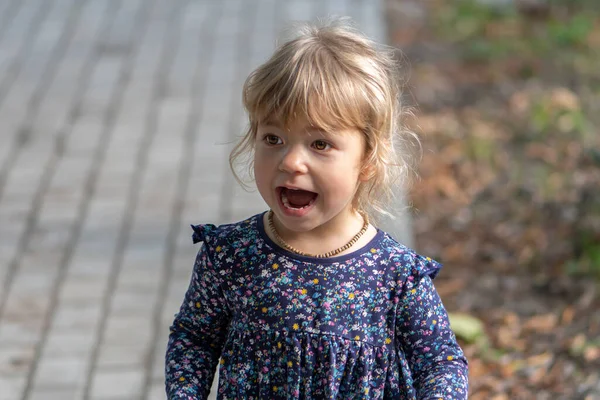 一个金发碧眼的小女孩的画像 她的嘴张开 背景是铺着木板和秋天的树叶 — 图库照片