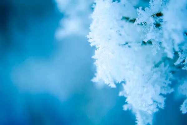 Сніжинки, сніжно-блакитний фон для вашого напису . — стокове фото