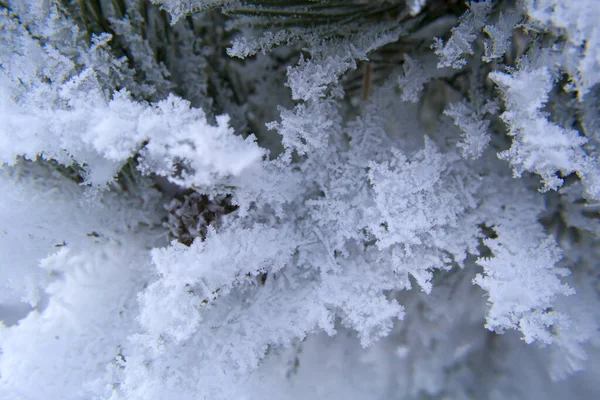 Bela paisagem com neve no inverno — Fotografia de Stock