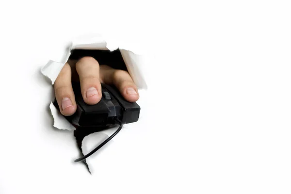 Um mouse de computador sai de um buraco com uma mão sobre ele em um fundo branco. — Fotografia de Stock