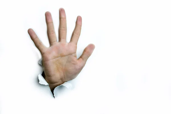 Give five, an open palm on a white background. — Stock Photo, Image