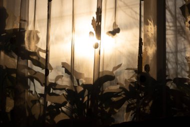 Batan güneşin penceresinde akşam gölgeleri.