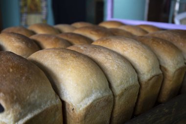 Fırındaki tepsilere taze taze ekmek konur..