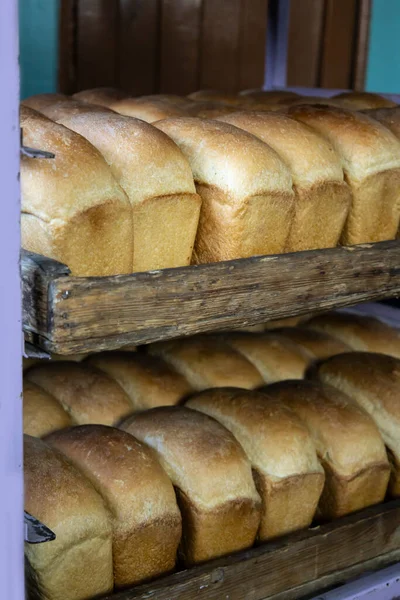 Pan recién cocinado caliente se coloca en bandejas en la panadería. —  Fotos de Stock