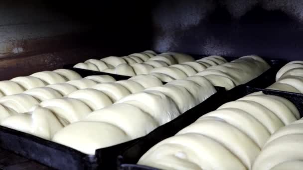 La masa incrustada en los moldes está lista para hornear panes. — Vídeos de Stock