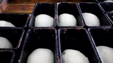 Gelecekteki ekmek için hamuru kalıplara seriyorum..