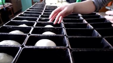 Gelecekteki ekmek için hamuru kalıplara seriyorum..