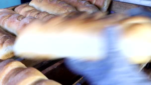 Горячие хлебы выкладываются в лотки для продажи. — стоковое видео