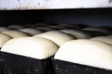 Ekmek için ayrılan hamur uygun ve pişirmeye hazır..