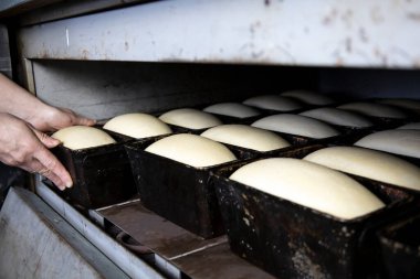 Ekmek için ayrılan hamur uygun ve pişirmeye hazır..