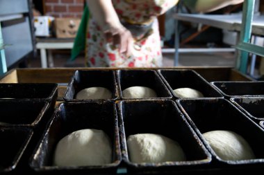 Gelecekteki ekmek için hamuru kalıplara seriyorum..