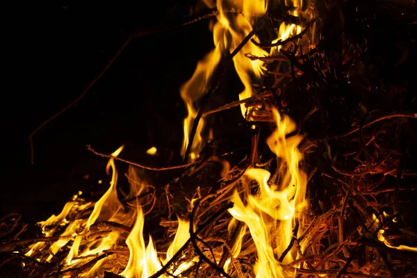 Oheň Jaře Pálí Odpadky Nebezpečí Požáru Kvalitní Fotografie — Stock fotografie
