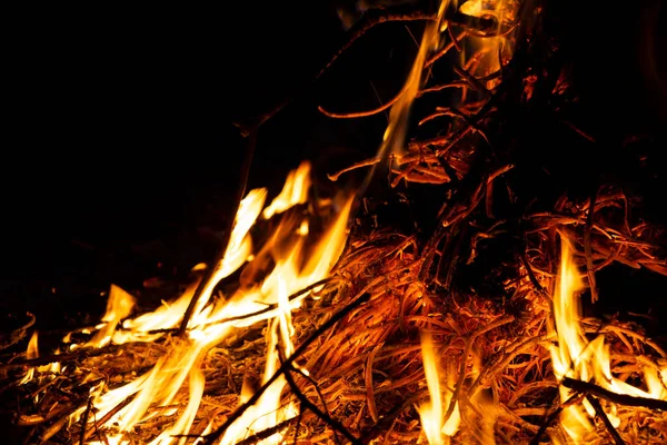 篝火在春天焚烧垃圾 冒着火灾的危险 高质量的照片 — 图库照片