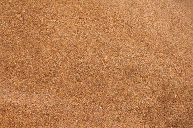 Keten tohumları arka plan veya doku. Keten tohumu veya keten tohumu. Mısır gevreği. Sağlıklı yiyecekler. Üst Manzara. Yüksek kalite fotoğraf. 