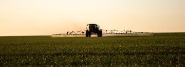 Special tractor for the treatment of fields from weeds and pests. High quality photo