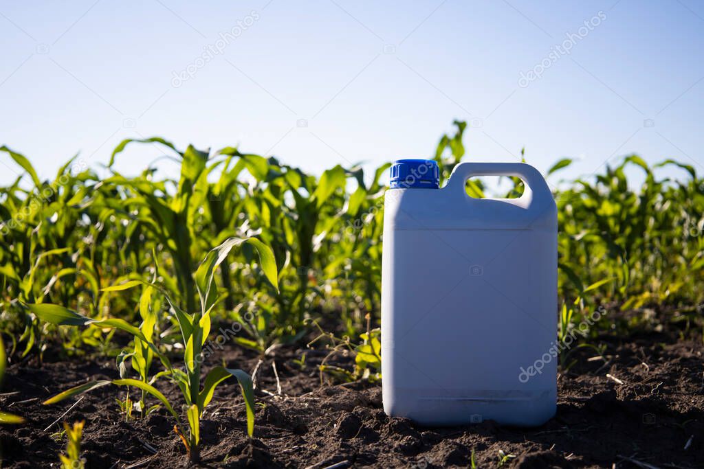 Herbicide plastic canister can in corn field, crop protection concept. High quality photo
