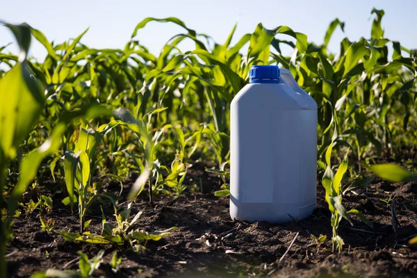 Canister Background Growing Corn Fertilization High Quality Photo — Stok Foto