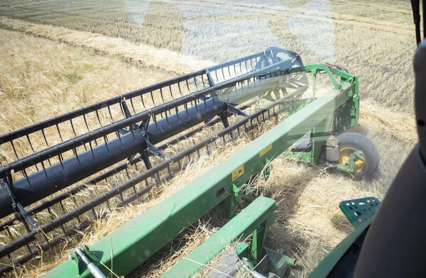 Combine harvester harvests ripe wheat. agriculture. High quality photo