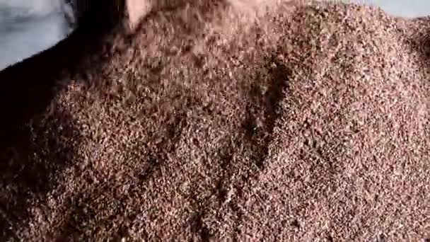 Купка Пшениці Купка Зерна Зерно Посівної Компанії Високоякісна Фотографія — стокове відео
