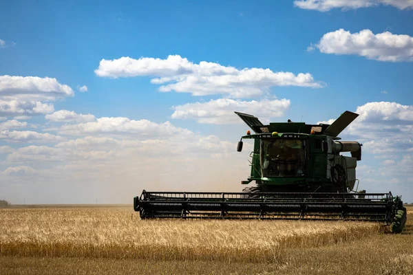 Harvester Harvesting Wheat Field Working Northern Kazakhstan Musrepov District 2022 — Stok Foto