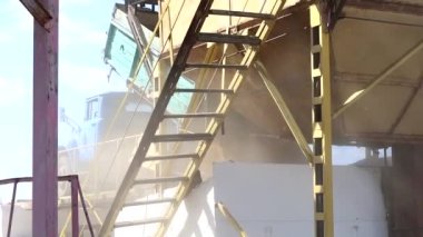 The machine pours pea seeds for cleaning. High quality photo