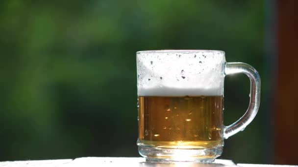 Piwo wlewa się do szklanego kubka. Zimne Craft lekkie piwo w szklance z kroplami wody. Timelapse wideo. — Wideo stockowe