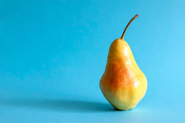 Cosecha de peras. Fondo de fruta. Pera amarilla sobre fondo azul. Copiar espacio. — Foto de Stock