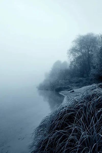 Річка в туманний ранок на сході сонця. Вертикальне зображення . — стокове фото